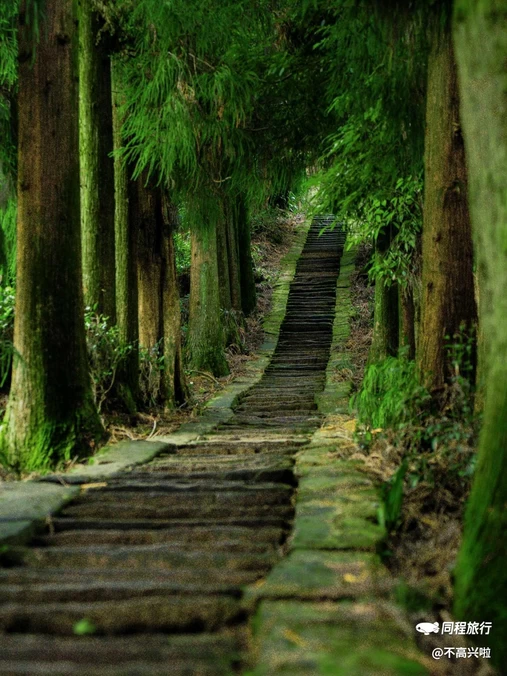 蒙顶山风景名胜区 - 雅安市旅游