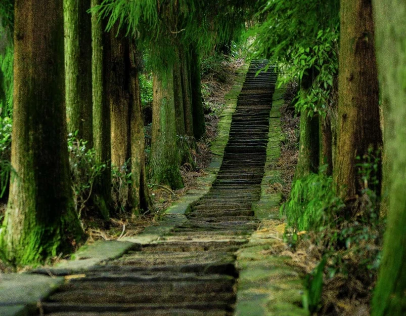 蒙顶山风景名胜区 - 雅安市旅游 1