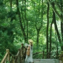 蒙顶山风景名胜区 - 雅安市旅游 缩略图 5