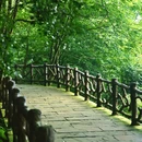 蒙顶山风景名胜区 - 雅安市旅游 缩略图 6