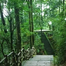 蒙顶山风景名胜区 - 雅安市旅游 缩略图 9