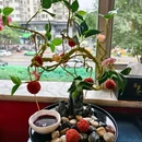 双威迎宾广场 - 西安市旅游 缩略图 5