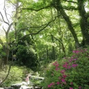 东湖磨山景区 - 武汉市旅游 缩略图 2