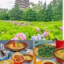 小寨国贸 - 西安市旅游 缩略图 9