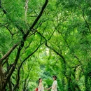 华南植物园-北门售票处 - 广州市旅游 缩略图 2