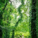 华南植物园-北门售票处 - 广州市旅游 缩略图 8