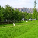 乐从镇城市建设和水利局-东北门 - 佛山市旅游 缩略图 9