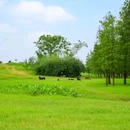 乐从镇城市建设和水利局-东北门 - 佛山市旅游 缩略图 8