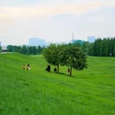 乐从镇城市建设和水利局-东北门 - 佛山市旅游 缩略图 2