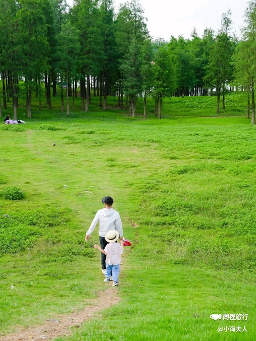 乐从镇城市建设和水利局-东北门 - 佛山市旅游