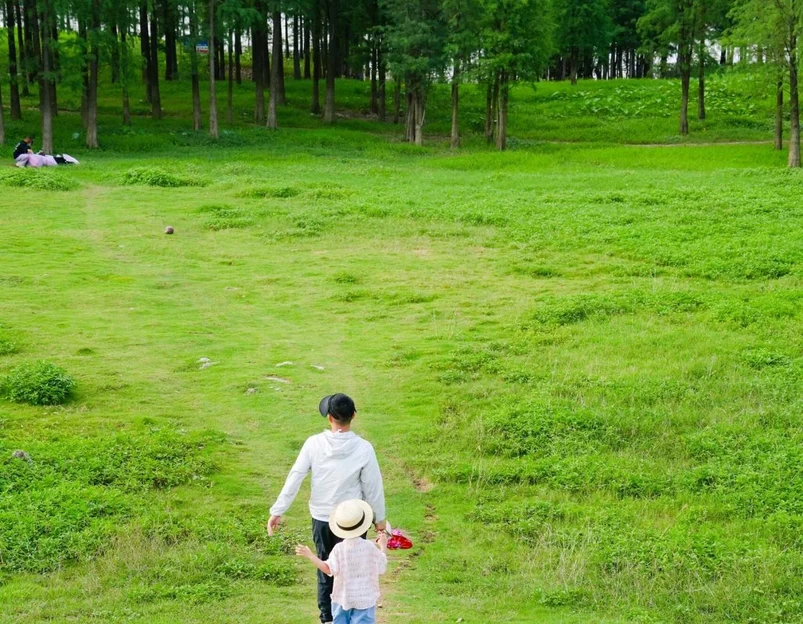 乐从镇城市建设和水利局-东北门 - 佛山市旅游 1