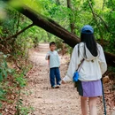 深圳梅林山郊野径 - 深圳市旅游 缩略图 8