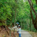 深圳梅林山郊野径 - 深圳市旅游 缩略图 9