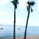 海晏村 - 昆明市旅游 缩略图 9