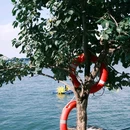 海晏村 - 昆明市旅游 缩略图 7