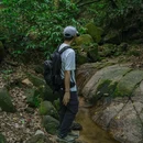 火炉山森林公园-南门 - 广州市旅游 缩略图 5