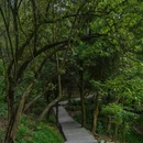火炉山森林公园-南门 - 广州市旅游 缩略图 2