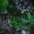 火炉山森林公园-南门 - 广州市旅游 缩略图 8