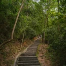火炉山森林公园-南门 - 广州市旅游 缩略图 7