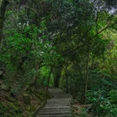 火炉山森林公园-南门 - 广州市旅游 缩略图 9