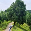 开照寺 - 成都市旅游 缩略图 7