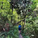 开照寺 - 成都市旅游 缩略图 9