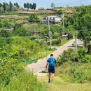 开照寺 - 成都市旅游 缩略图 2