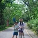 平峦山公园 - 深圳市旅游 缩略图 5