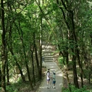 平峦山公园 - 深圳市旅游 缩略图 1