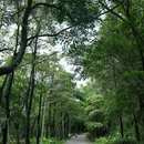平峦山公园 - 深圳市旅游 缩略图 4