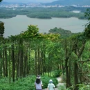 平峦山公园 - 深圳市旅游 缩略图 2