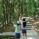 平峦山公园 - 深圳市旅游 缩略图 6