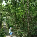平峦山公园 - 深圳市旅游 缩略图 7