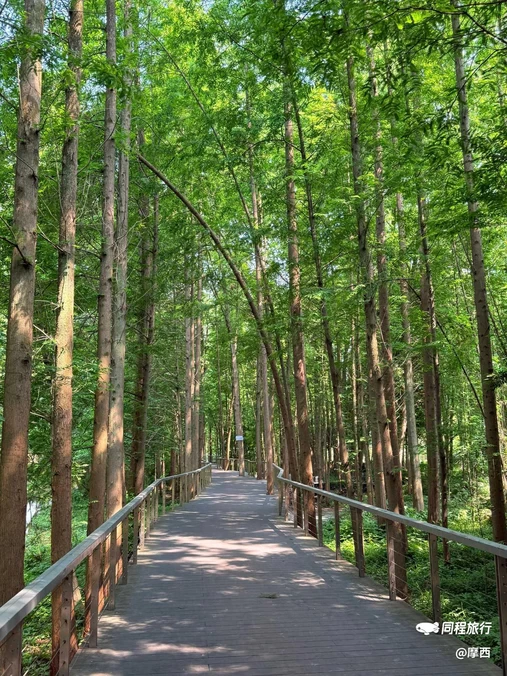 北溪湿地公园 - 成都市旅游