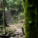 龙苍沟森林公园 - 雅安市旅游 缩略图 4