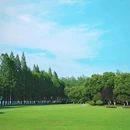 合肥滨湖国家森林公园 - 合肥市旅游 缩略图 2