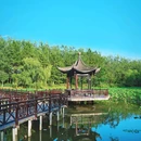 合肥滨湖国家森林公园 - 合肥市旅游 缩略图 4