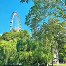 逍遥津公园 - 合肥市旅游 缩略图 2