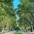 逍遥津公园 - 合肥市旅游 缩略图 7