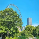 逍遥津公园 - 合肥市旅游 缩略图 6
