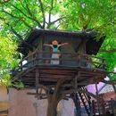 乌镇古镇旅游区 - 嘉兴市旅游 缩略图 8