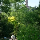 玉东郊野公园 - 北京市旅游 缩略图 2