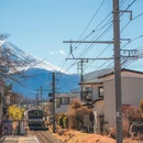 东京 - 日本旅游 缩略图 2