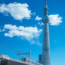 东京 - 日本旅游 缩略图 6