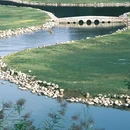 鹿鸣海 - 北京旅游 缩略图 4