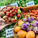 龙咪现烤现舂野菜傣味火锅 - 西双版纳傣族自治州旅游 缩略图 4