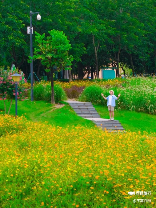白云湖公园 - 广州市旅游
