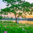 白云湖公园 - 广州市旅游 缩略图 4