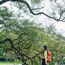 成都市植物园-后山生态林 - 成都市旅游 缩略图 3