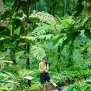 成都市植物园-后山生态林 - 成都市旅游 缩略图 8